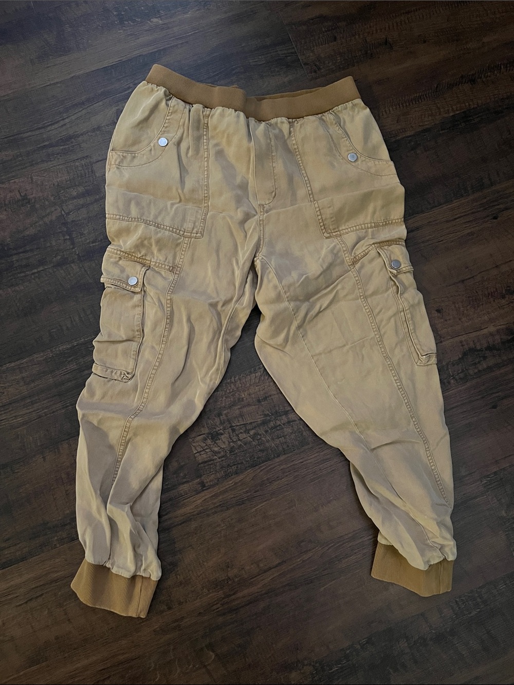 Anthropologie Lycocell Joggers